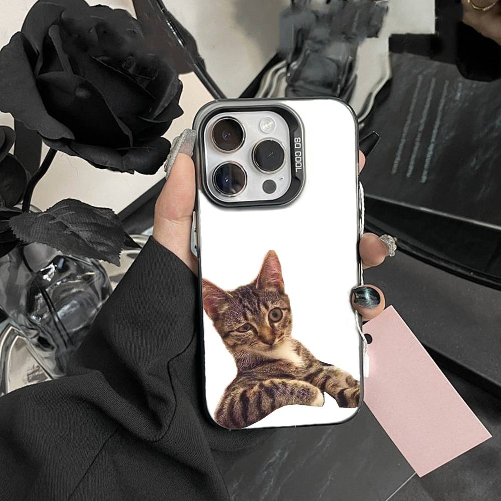Глупая КОШКА с большими глазами Забавная чехол-накладка для iPhone17, 16,15,14,13,12 Pro Max Черный Конфетный Матовый Ударопрочный чехол