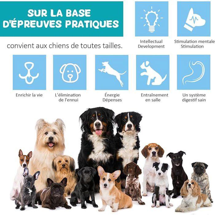 Jouet pour Chien Indestructible, Jouets pour Chiens Interactif de Mangeoire, Distributeur Croquettes Jouet Occupa JOUET A FRIANDISE