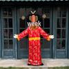 New Year God of Wealth & Zodiac Mascot Costumes