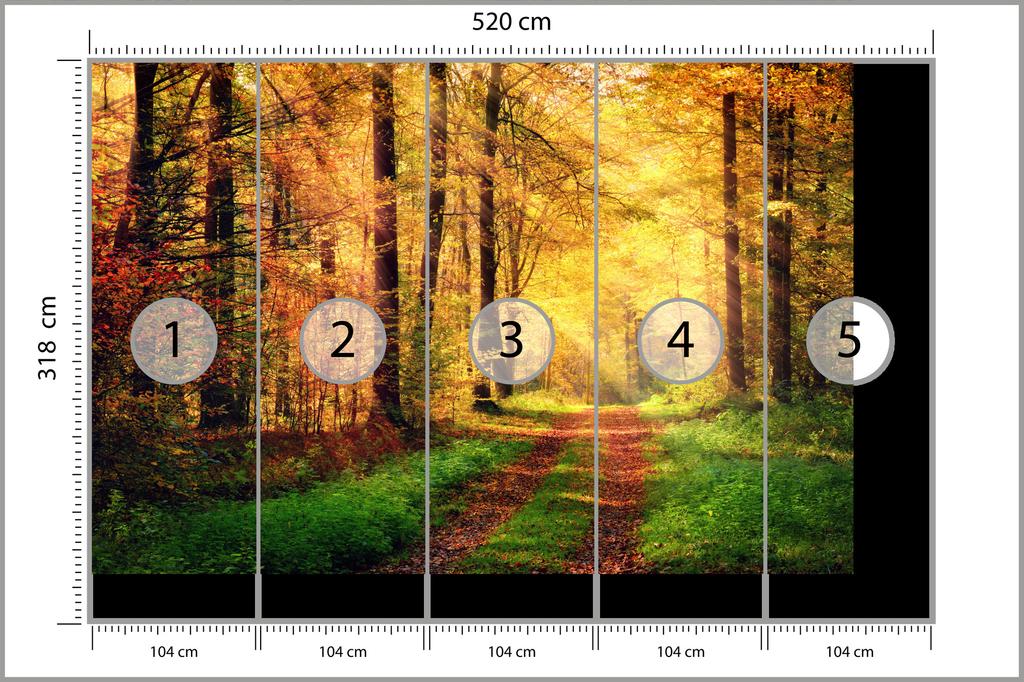 Photomural Forest Autumn Colors Washable Fleece 520x318