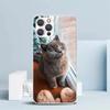Чехол для телефона с изображением британской короткошерстной кошки для iPhone 16 17 Air 16E 15 14 Plus 13 Mini 12 11 Pro Max 7 8 + SE 2020 Мягкая задняя крышка из ТПУ 16