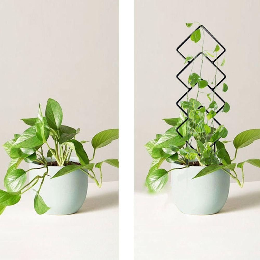 Универсальная шпалера для вьющихся растений, держатель для комнатных растений, цветов