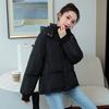 Winter Down Cotton Clothes New Cotton Clothes Korean Version Loose Bread Clothes Women's Winter Coat