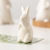Белые керамические кролики для домашнего стола, книжной полки, пасхальные украшения, кролик, украшение для микроландшафта, для сада, заднего двора, украшения, поделки