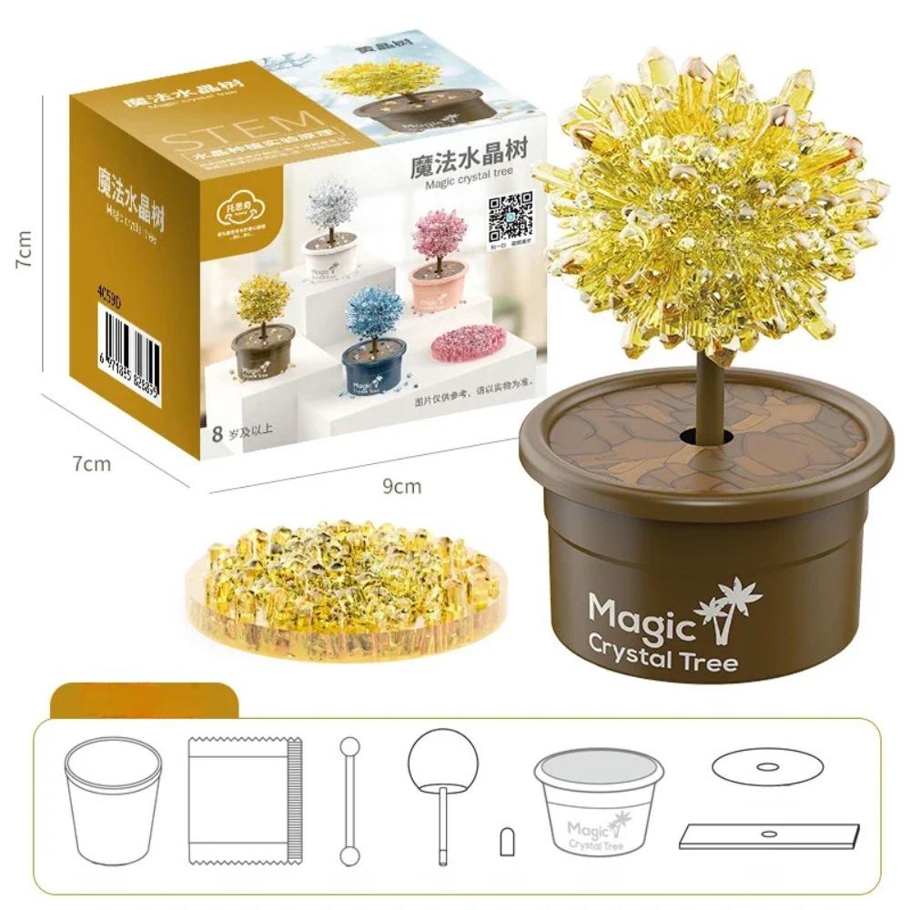 Grow a Crystal Crystal Trees Growing Kit Colored Crystals Crystal Making Kit  Kids