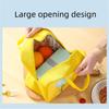 Cartoon Thermal Lunch Bag for Children Insulated Bento Box Portable Picnic Food Storage Bag