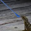2Pcs Reptile Feeding Spoon Long Handle Stainless Steel Scoop for Lizard Gecko Fruit Paste Mixing Small Animal Food Tool Portable