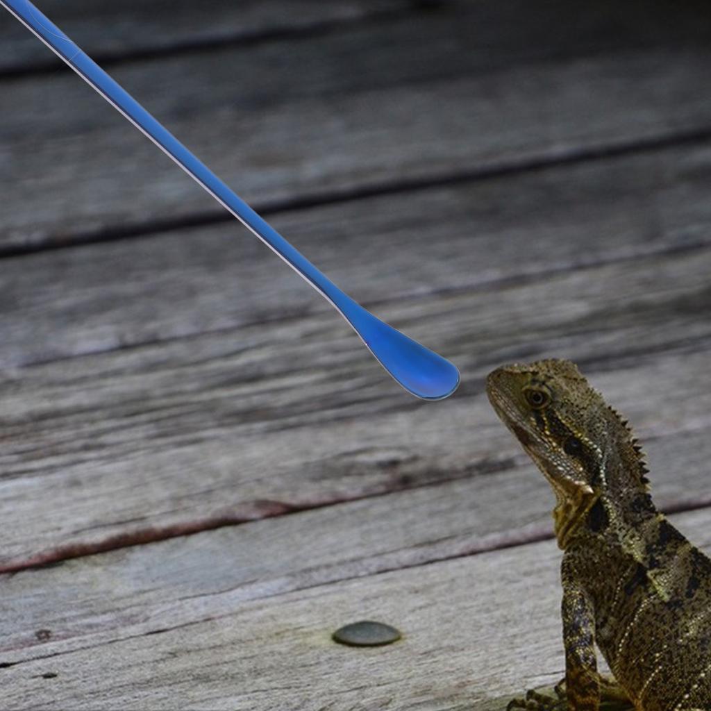 2Pcs Reptile Feeding Spoon Long Handle Stainless Steel Scoop for Lizard Gecko Fruit Paste Mixing Small Animal Food Tool Portable