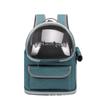 Space Capsule Pet Backpack Transparent Cat Carrier Large Dog Travel Shoulder Bag