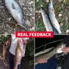 MEREDITH Мягкая приманка Crazy Shiner II 65 мм 80 мм, рыболовная приманка Shad, силиконовые приманки, воблеры с Т-образным хвостом, искусственная приманка для плавания