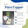 PURE EARTH essentials Медная скребок для языка для взрослых - Уход за полостью рта Натуральный очиститель языка - Медный скребок для языка Аюрведа с чехлом (2шт.упаковка) медь