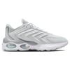 Nike Мужские кроссовки Air Max TW Pure Platinum White Wolf-Grey DV7721-002