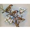 5D Алмазная вышивка животных Три птицы Алмазная картина цветок Вышивка крестом Мозаика Домашний декор