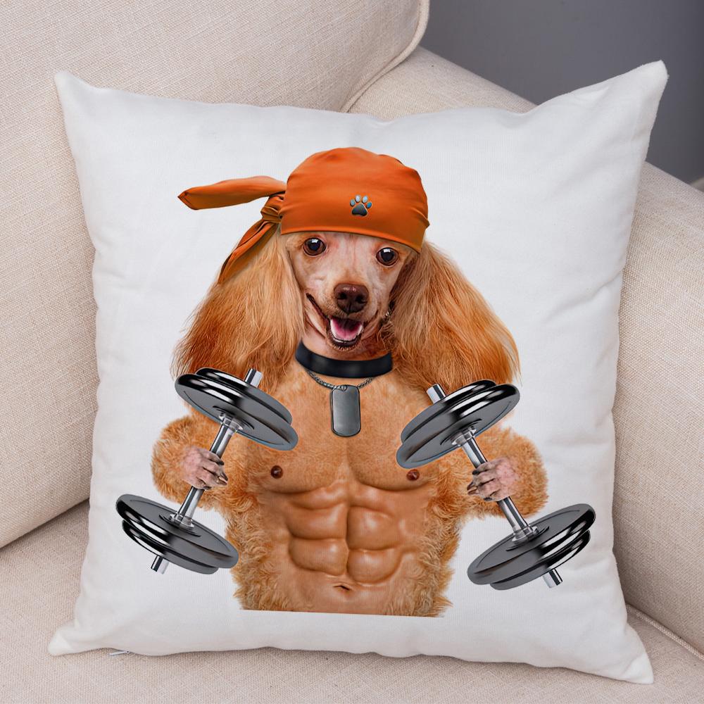 Funny Cat Dog Cushion Cover Fitness Animal Dumbbell Print Soft Fabric Living Room Sofa Home Decor Pillow Case