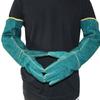 Anti-Bite Safety Gloves Ultra Long Leather Green Pets Grip Biting Protective Gloves for Catch Dog