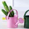 Garden Mini Kawaii Metal Water Spraying Pot Flower Kettle Watering Can