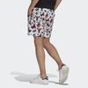 Adidas Originals Artist Dragon Print Shorts Мужские шорты белые HA4698