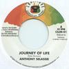7-дюймовая пластинка ANTHONY SELASSIE - Journey Of Life / Journey Dub CSJM01 Coal Stove JA 2016 Япония Регги, Ска и Даб