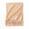 Cashmere Feel Scarf Autumn and Winter Korean Imitation Cashmere Girls High End Shawl Warm Scarf