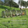 Chicken Walking Tunnel: Ground Cage Extension for Pet Chickens