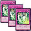 [Set of 3] Yu-Gi-Oh! Card PSY-Frame Overlord (Normal) SPHR-JP037