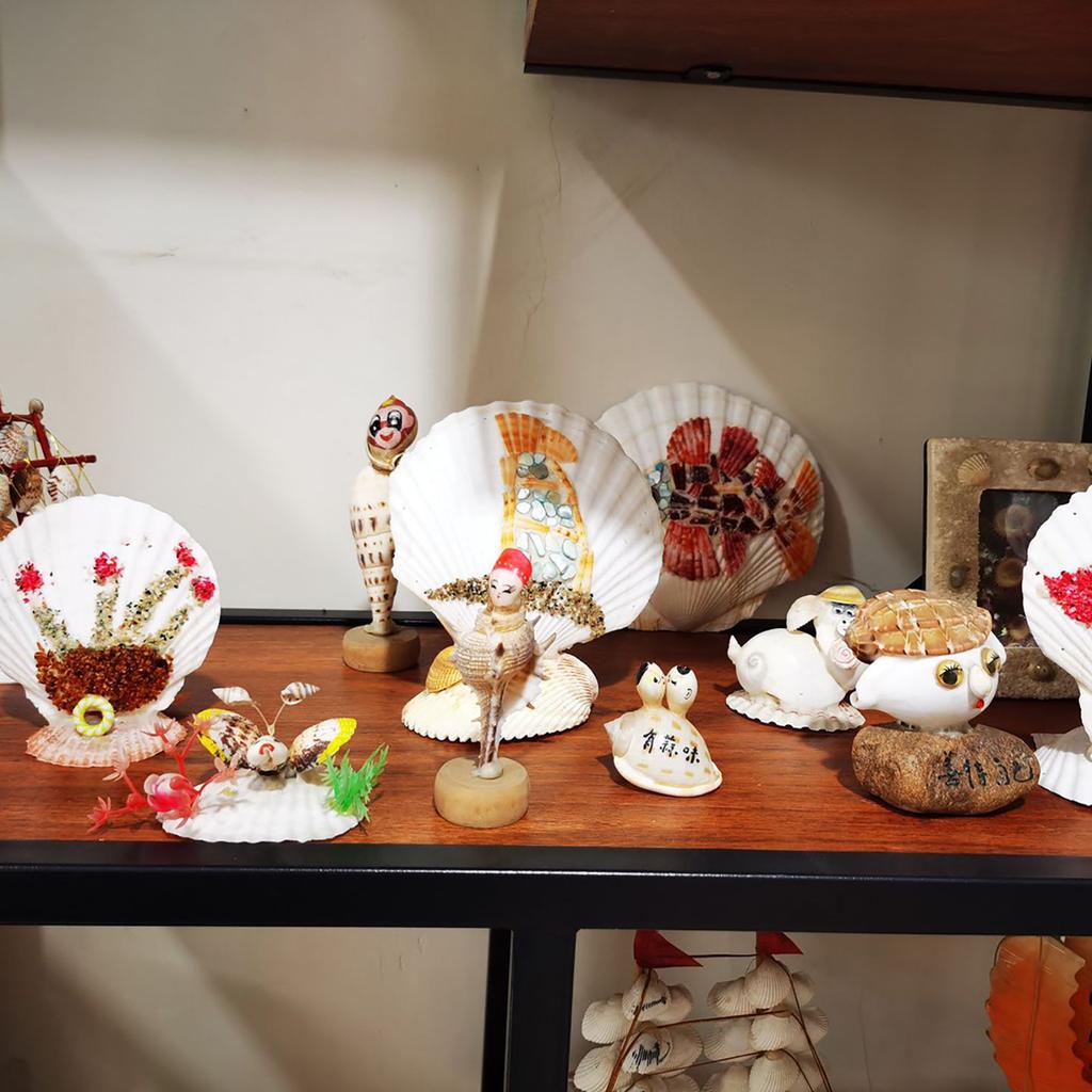 10 шт. Ракушки белые DIY Идеально подходят для рукоделия и рисования для детей и взрослых Украшение дома