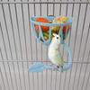 Screw On Bird Parrots Feeding Container Large Capacity Feeders for Cage Bird Feeder Column with Stand Food Eatting Tool