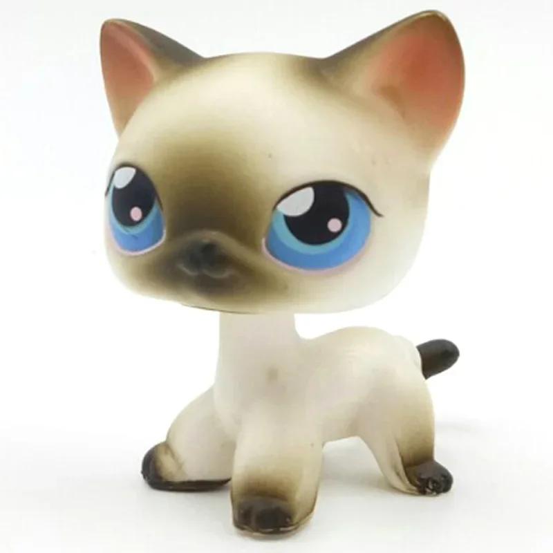 Редкая игрушка Littlest Pet Shop Lps Мини-подставки Котенок с короткой шерстью Старые фигурки Коллекция Al Игрушка на пружинке