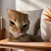 Funny Cat MMeme  cm Cushion Cover Pillow Cover Decor Pillowcase Home Pillowcase for Couch Pillow