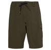 Шорты Cruiser Cargo 21 RC Hybrid