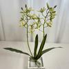 Elegant Dendrobium Artificial Orchid Stem With Foliage For Tabletop Decoration