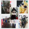 Photos Props Trend Toys For Little Dog Cat Cat Glasses Pet Sunglasses Eye-wear Reflection Glasses