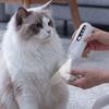 Rechargeable Dog Paw Trimmer LCD Display Electric Dog Clippers Cordless Cat Shaver  Paw Trimming