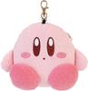 T'S FACTORY Kirby Poopy Pass Case Pouch