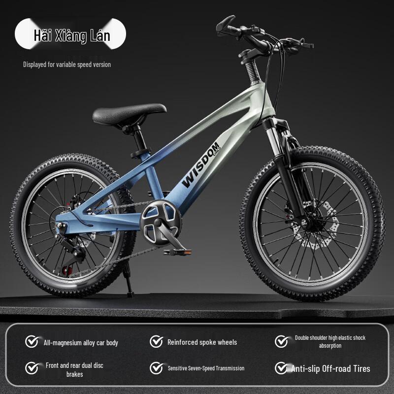 Zhitong Feichi 900 Kids Mountain Bike