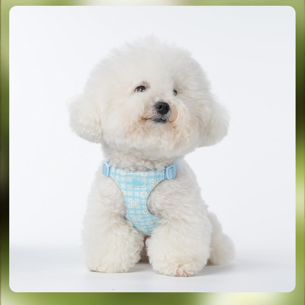 И Ко. Просто Собака Без Рывков - Размер Маленький - Жилет для Предотвращения Рывков и Легкой Прогулки - Удобное Средство для Обучения Поводку с