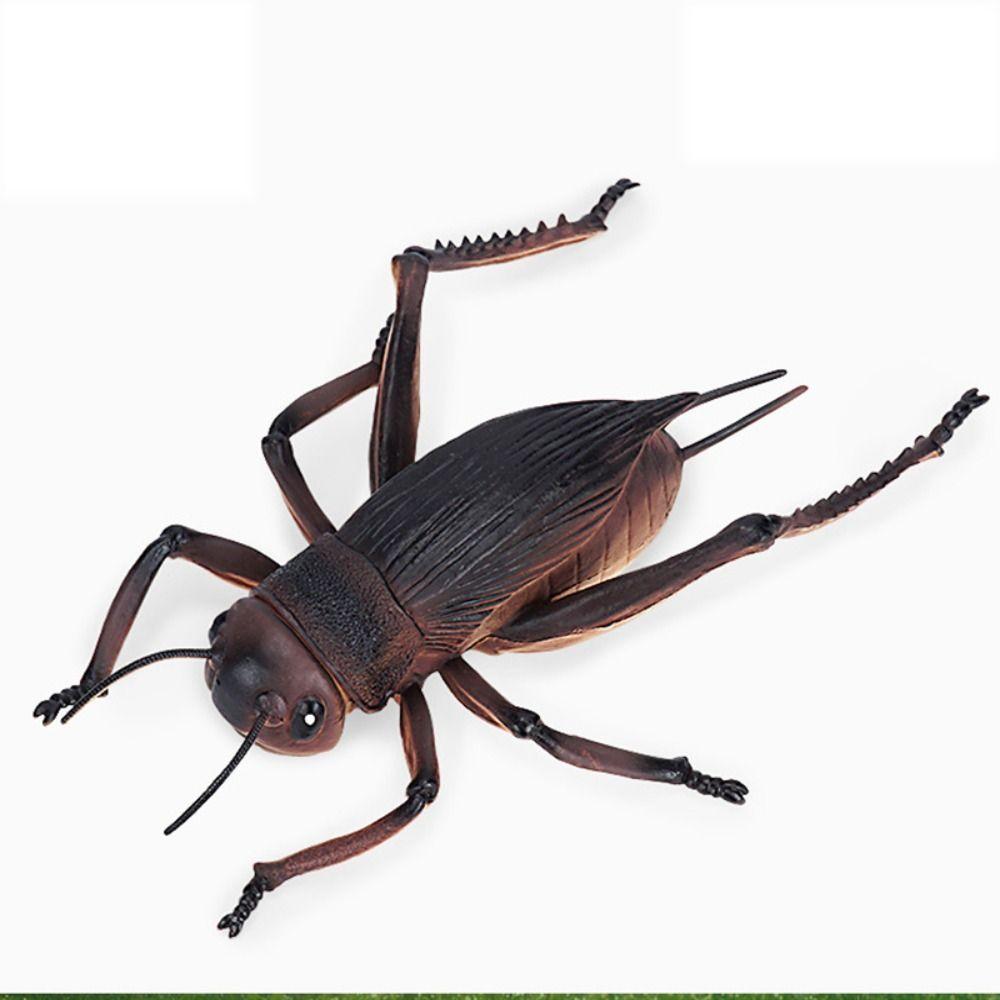 Кузнечик Моделирование Модель дикой природы Сверчок Моделирование Модель насекомого Забавные детские игрушки