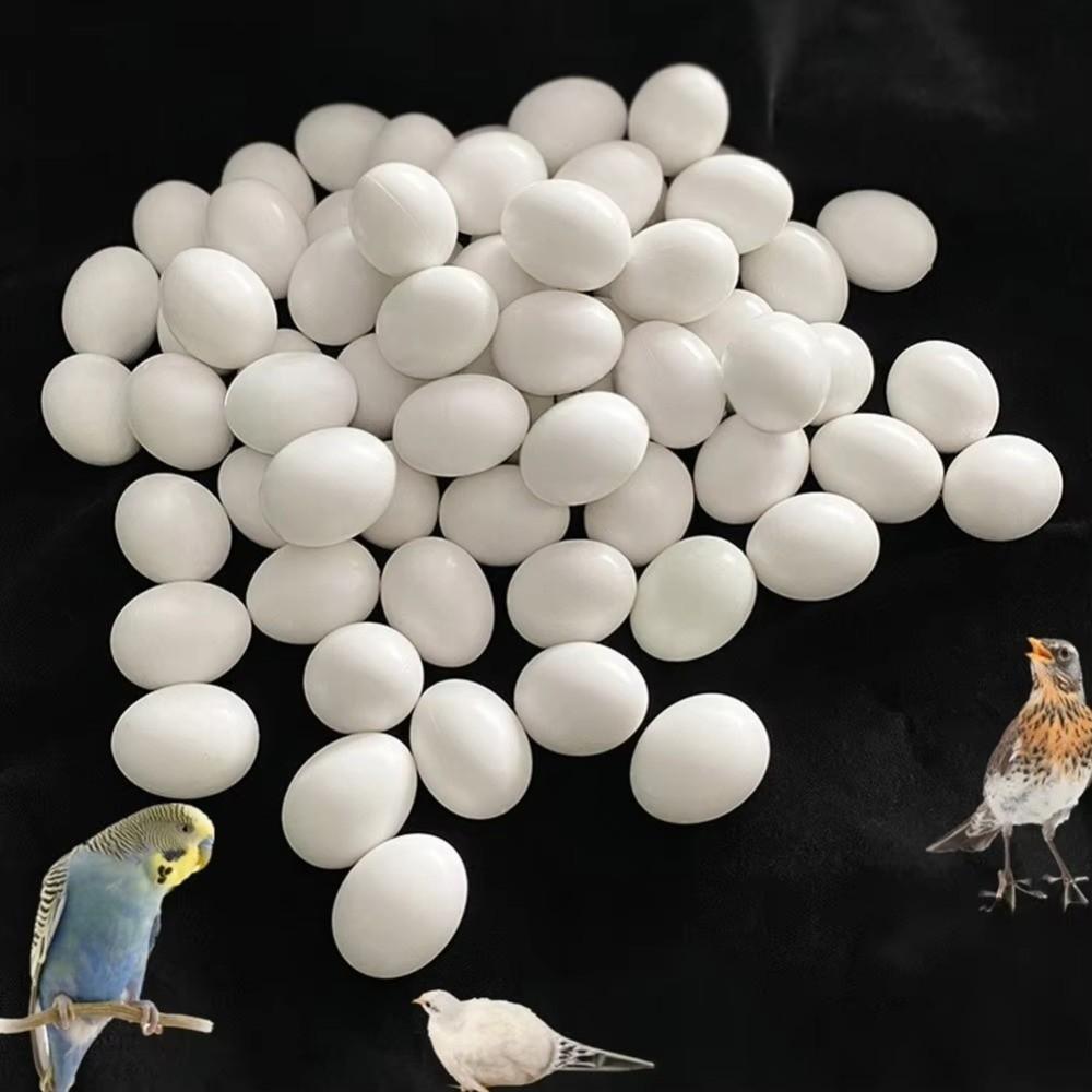 10pcs Multi-size Dummy Eggs White Parrot Eggs Model New Simulation Bird Eggs For Budgie Cockatiel