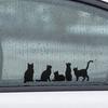 Неповреждающая клейкая наклейка Наклейка на автомобиль, Водонепроницаемая ПВХ Самоклеящаяся Без следов Автомобильный стикер, Узор «Пять кошек» для крышек бензобака Окон