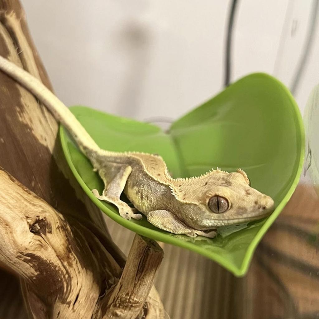 Turtle Basking Platform 6PCS Tree Frog Tank Accessories Leaf Shape Bearded Dragon Platform Suction Cups Resting Leaves