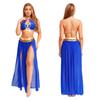 Women's Sequin Tassel Belly Dance Set - Halter Backless Crop Top & Split Mesh Skirt for Halloween