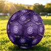 Personalized Size 5 Football Austria Wien FC Pattern Outdoor Game Sports Ball Gift