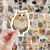 240 штук реалистичных наклеек с изображением котят и щенков, милые наклейки с изображением милых домашних животных, креативные наклейки для телефонных заметок, декоративные водонепроницаемые наклейки