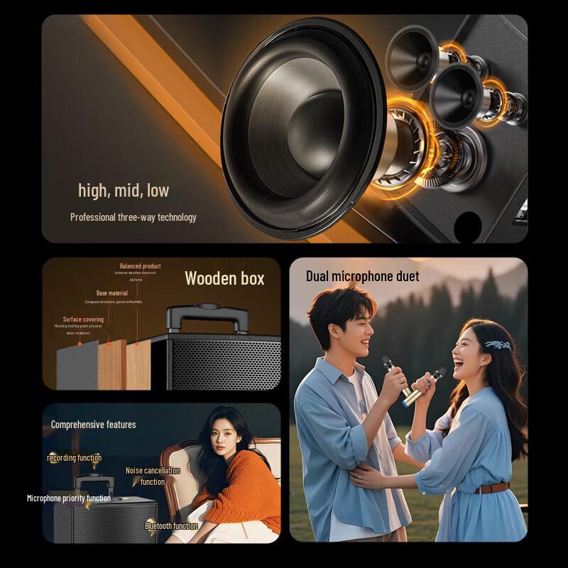 Soaiy 8-дюймовая портативная уличная KTV-колонка