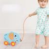 Wooden Animal Baby Walker & Pull Toy for Infants and Toddlers