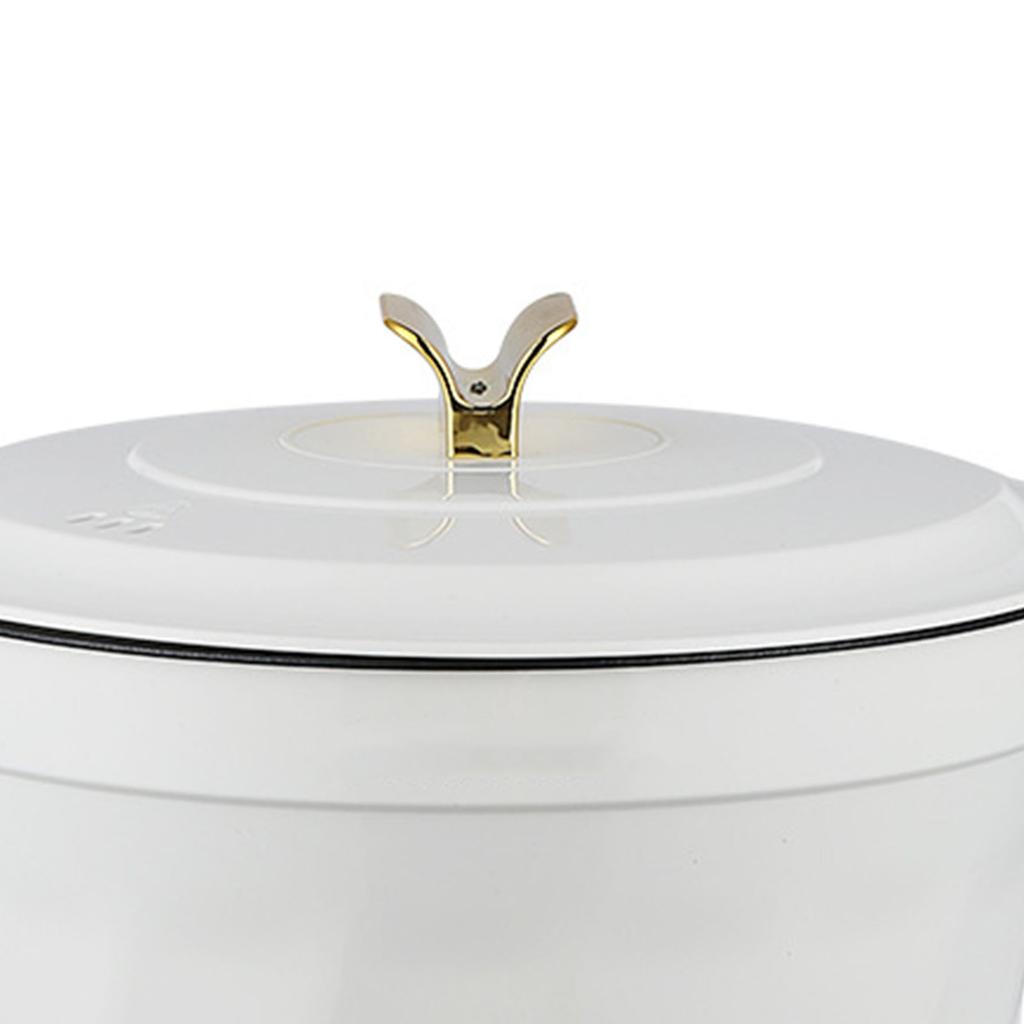 Electric Pot Multifunctional Dormitory Student Cooking Pot Electric Cooker Standard