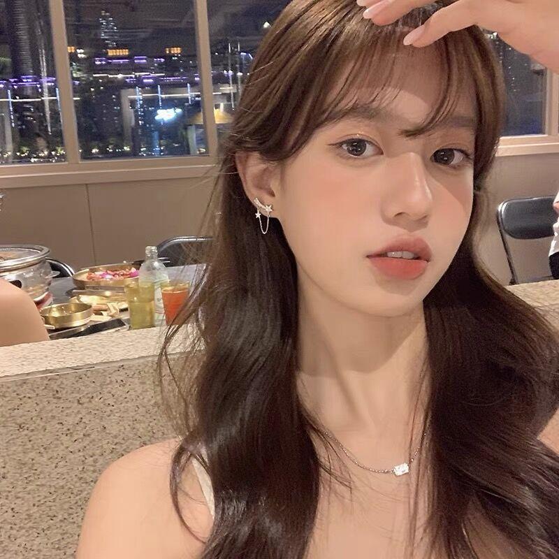 Japanese and Korean star stud earrings, sweet earrings, women's versatile earrings, women's fringed new trendy high-end exquisite rhinestones