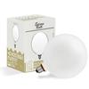 Nostalgia Edison Bulb LED Light Bulb, BIGGLOBE, Frosted, Dimmable, Frosted Glass, Globe Shape, Warm White, 2200K, 15W Equivalent, G200 (Outer