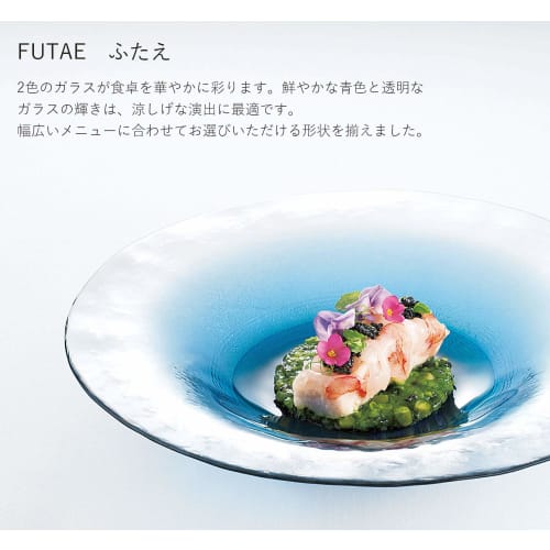 Toyo Sasaki Glass FUTAE Double Bowl 270cm, Made in Japan, Large Round Plate, Glass Dish, Tableware, 46163WSHB