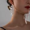 Exaggerated Large Earrings for Women, Women's Long Style, Temperament with Diamonds, Personality, Plus Size, Fashionable and Simple